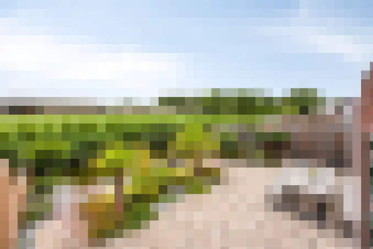De Weide 27 Zwaagdijk-Oost thumbnail 26