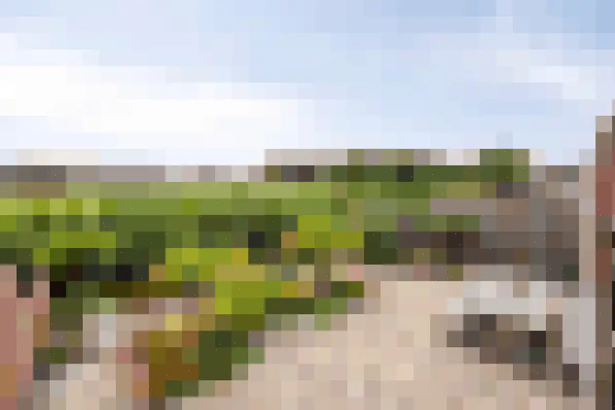 De Weide 27 Zwaagdijk-Oost thumbnail 26