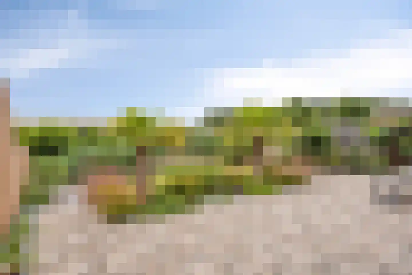 De Weide 27 Zwaagdijk-Oost thumbnail 30