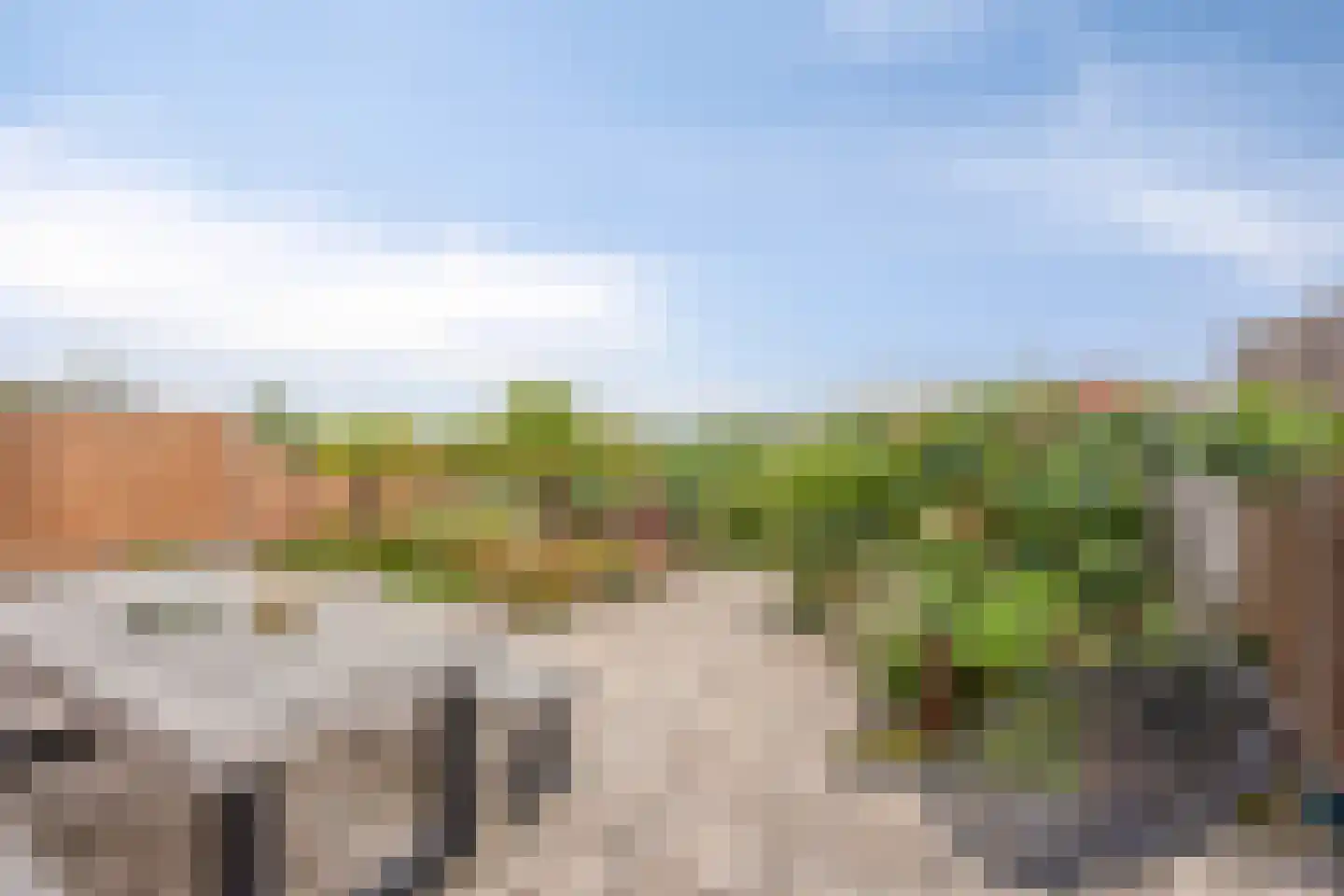 De Weide 27 Zwaagdijk-Oost thumbnail 31