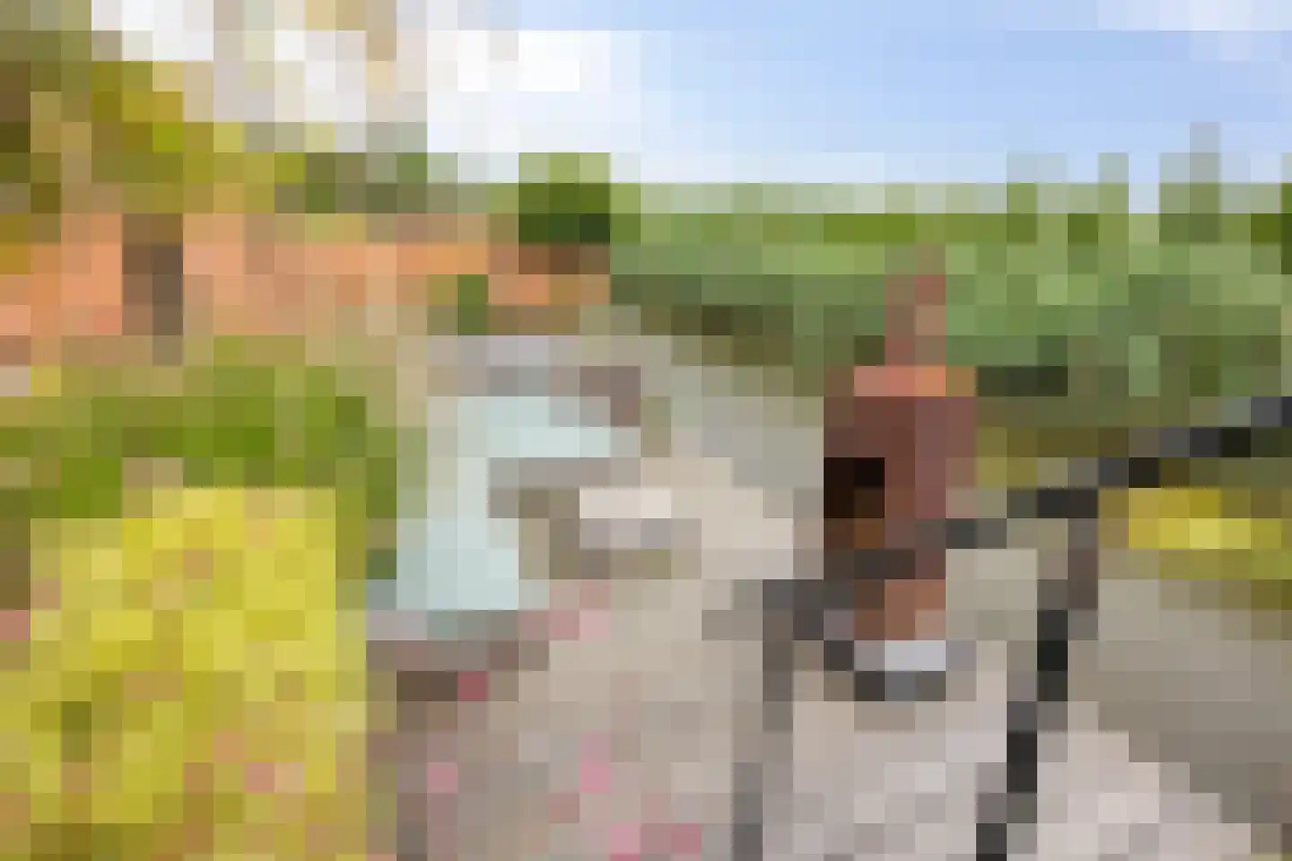 De Weide 27 Zwaagdijk-Oost thumbnail 32