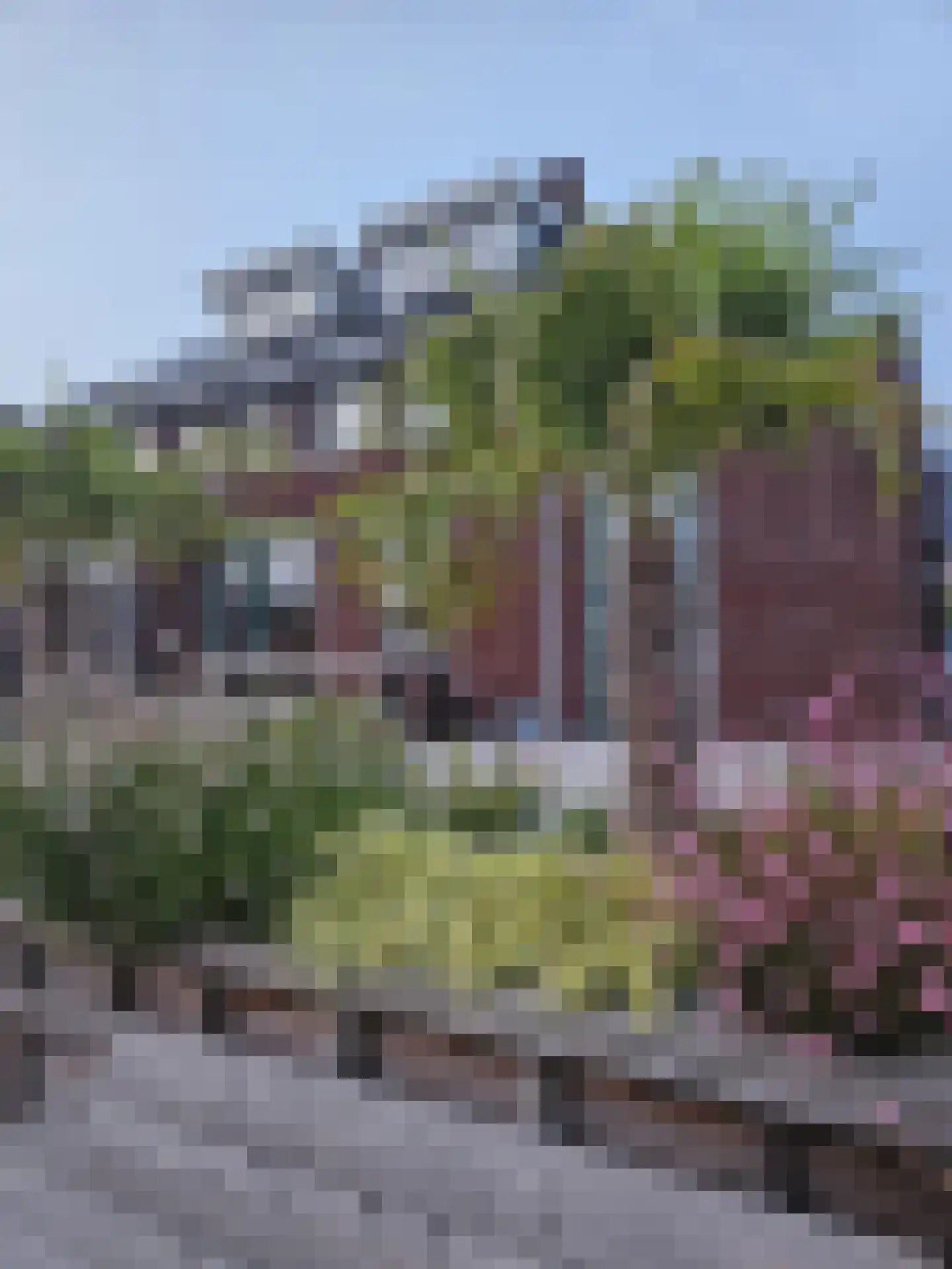 De Weide 27 Zwaagdijk-Oost thumbnail 35