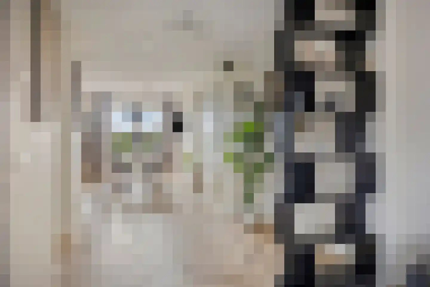 De Weide 27 Zwaagdijk-Oost thumbnail 7