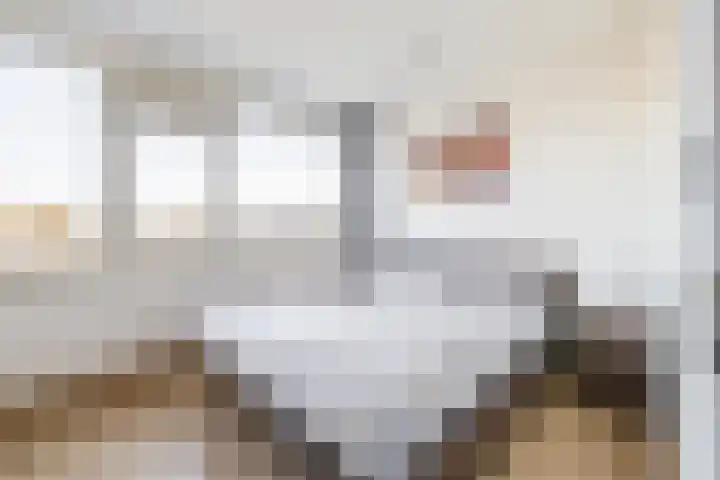 de Weide 3 Lopik thumbnail 27