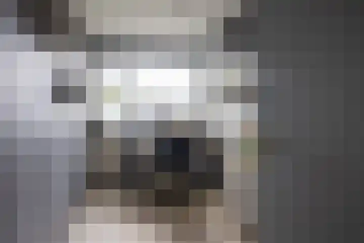 de Weide 41 Lopik thumbnail 28
