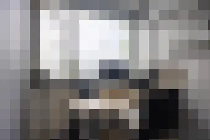de Weide 41 Lopik thumbnail 29