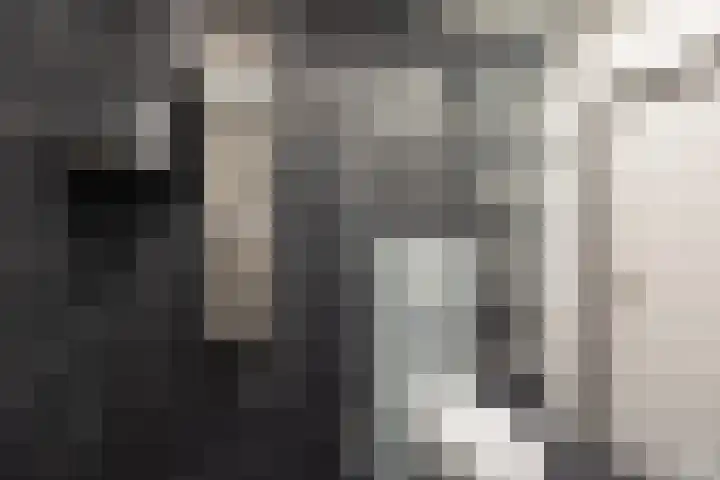 de Weide 41 Lopik thumbnail 37