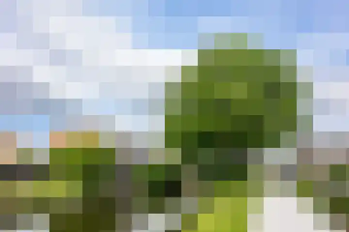 de Weide 41 Lopik thumbnail 46