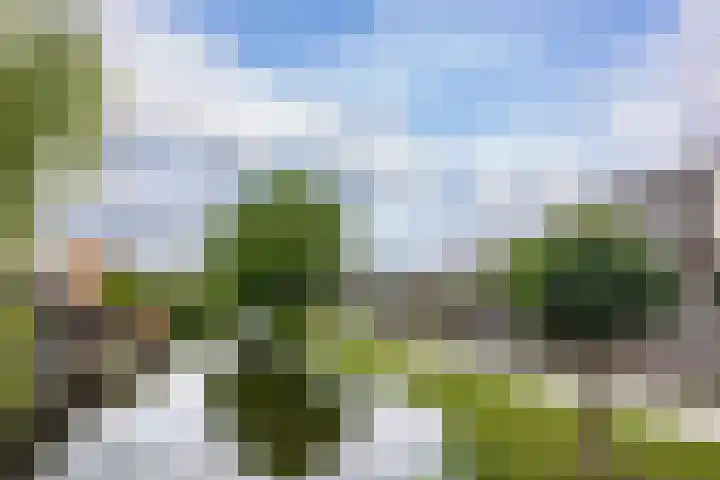 de Weide 41 Lopik thumbnail 47