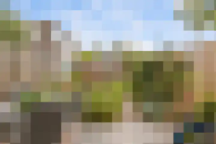 de Weide 43 Lopik thumbnail 15