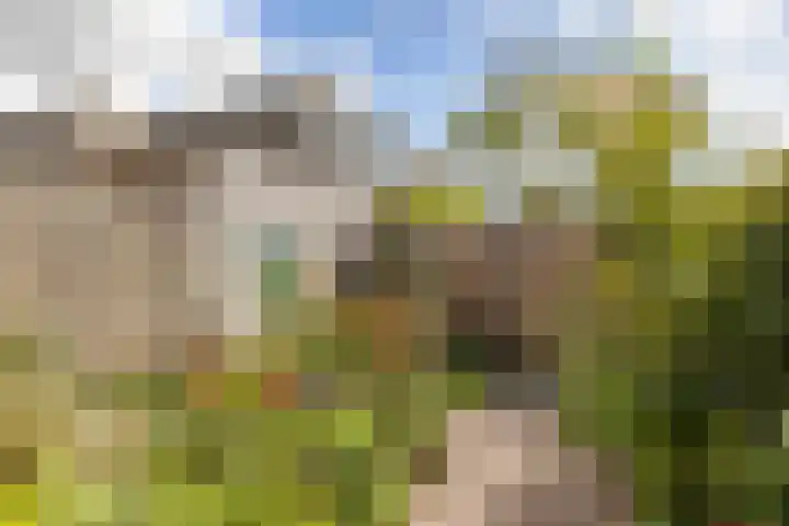de Weide 43 Lopik thumbnail 17