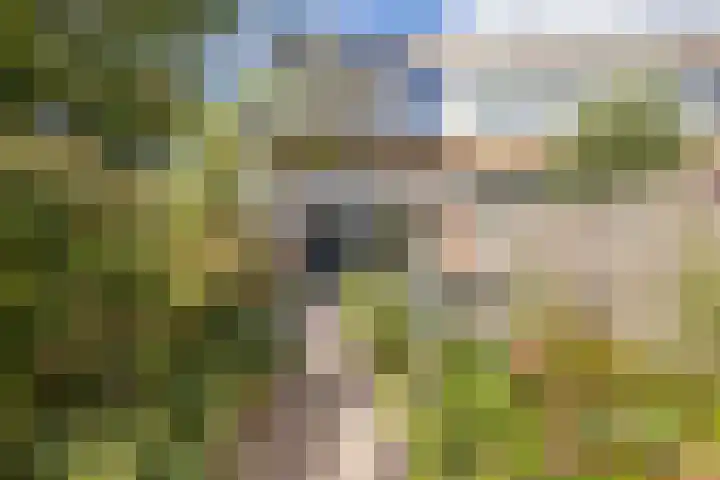 de Weide 43 Lopik thumbnail 18