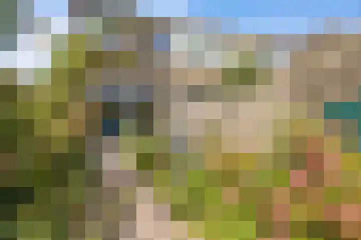 de Weide 43 Lopik thumbnail 19