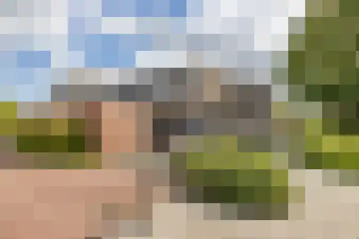 de Weide 43 Lopik thumbnail 39