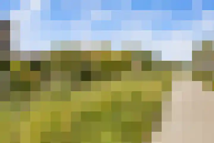 de Weide 43 Lopik thumbnail 43