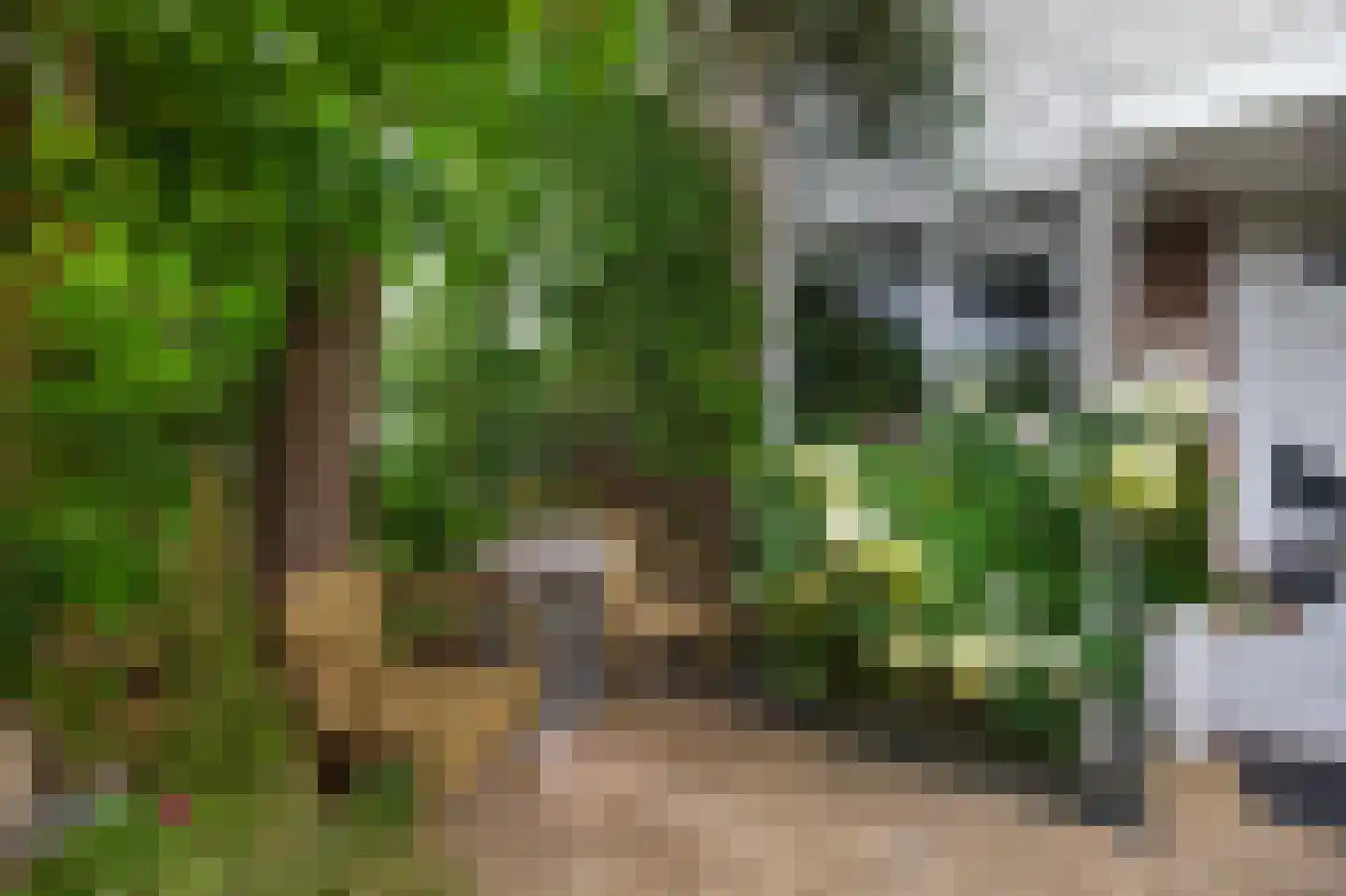 de Weide 67 Lopik thumbnail 10