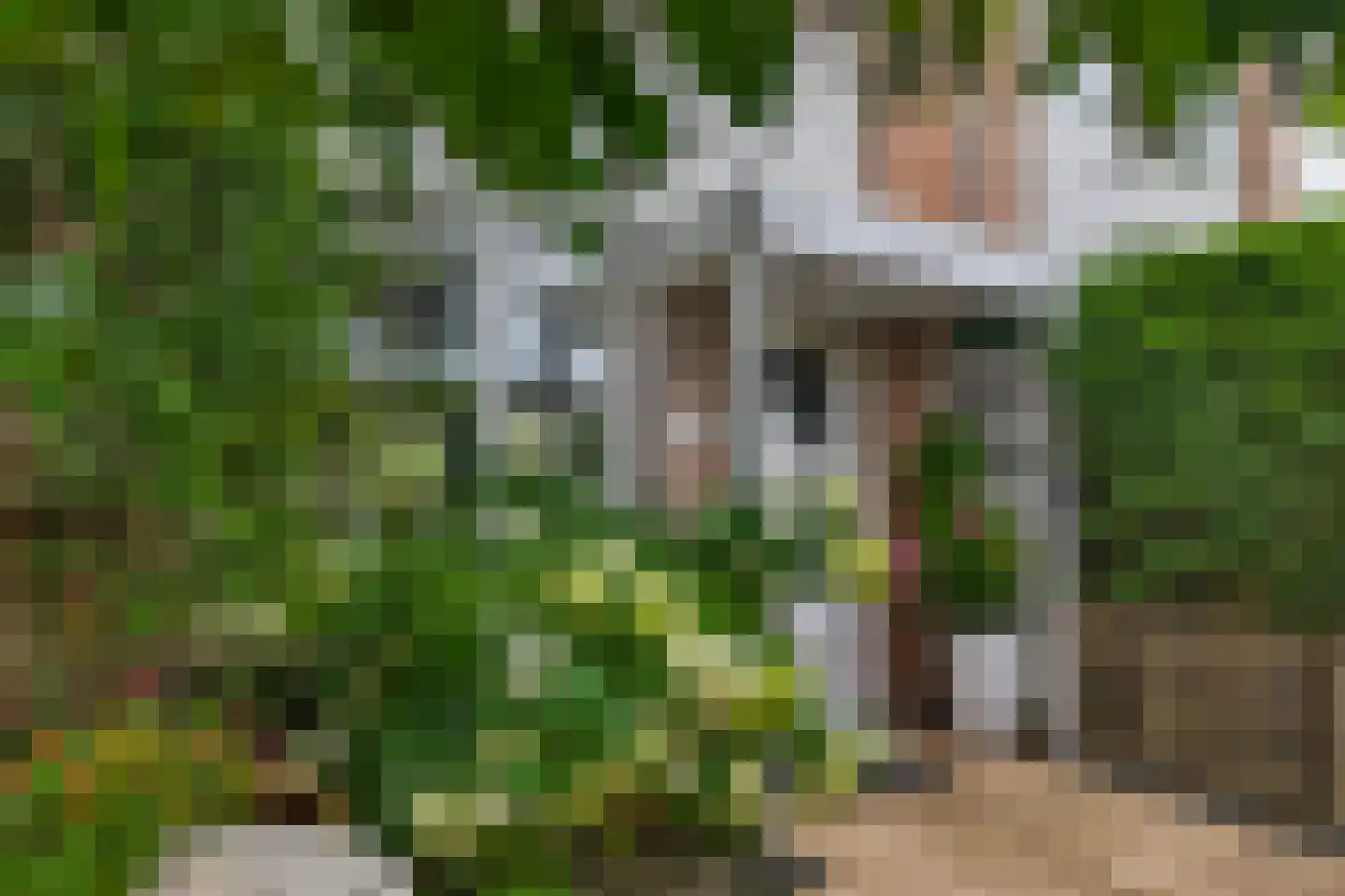 de Weide 67 Lopik thumbnail 11