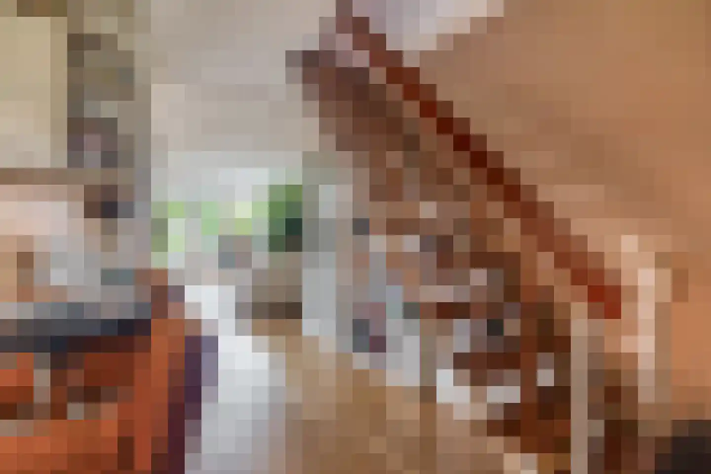 de Weide 67 Lopik thumbnail 19