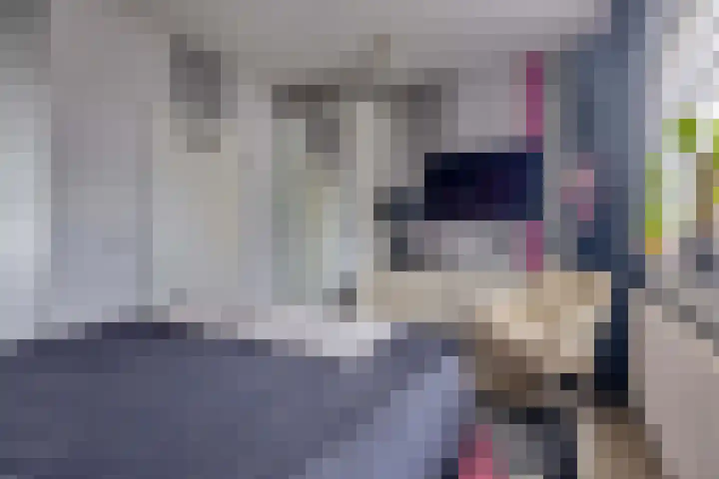 de Weide 67 Lopik thumbnail 34