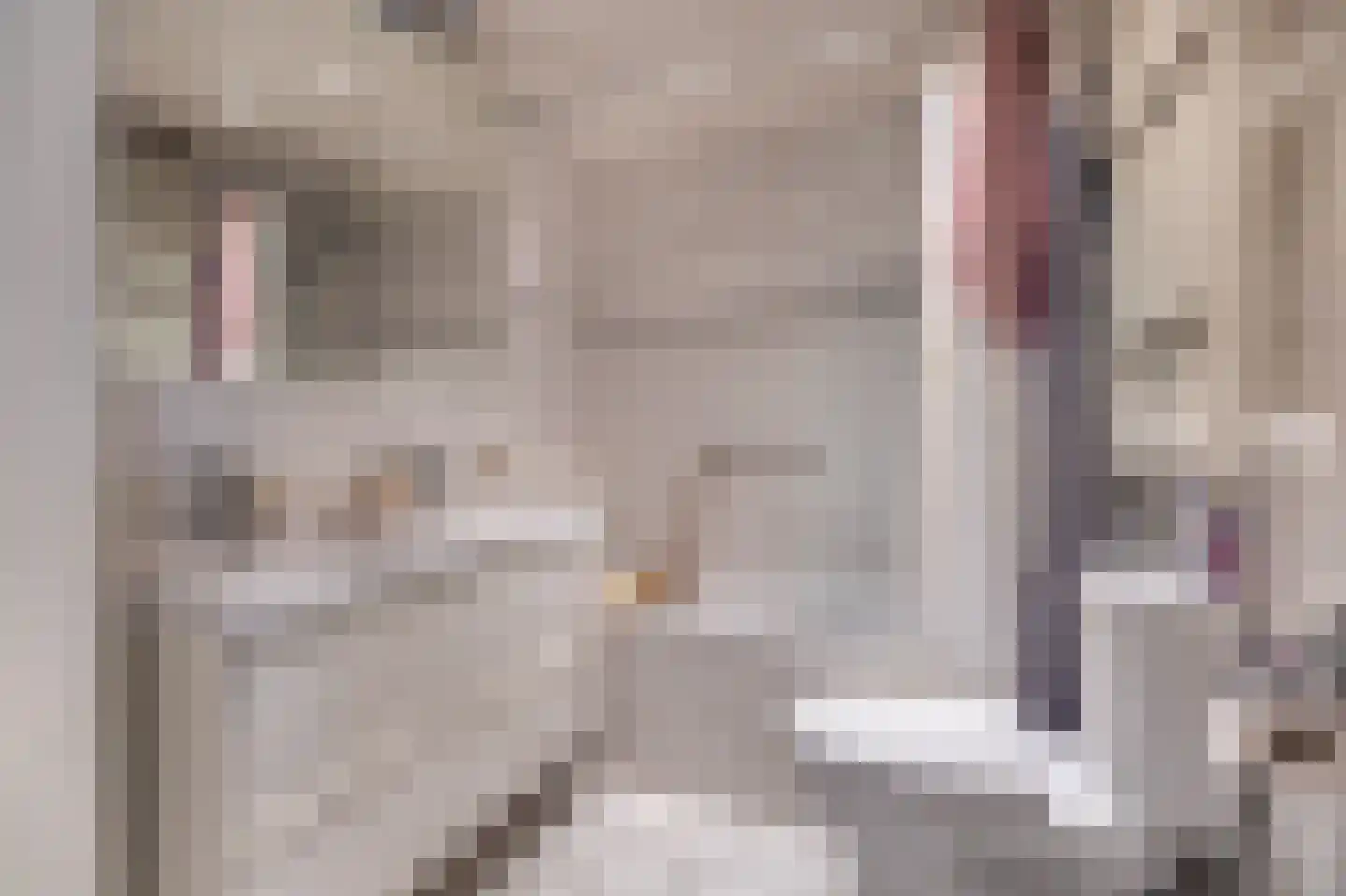 de Weide 67 Lopik thumbnail 35