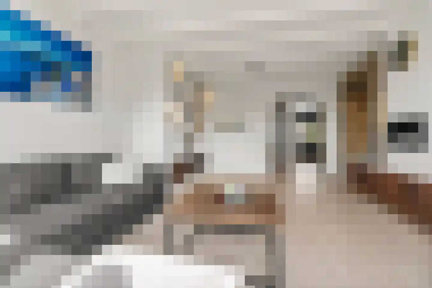 de Weide 83 Lopik thumbnail 14