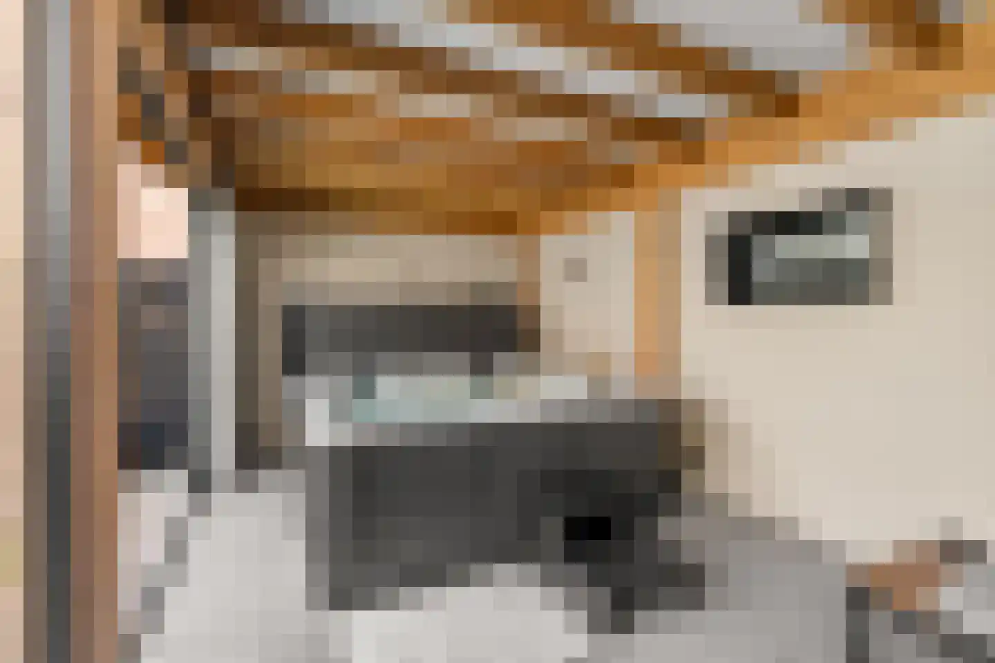 de Weide 83 Lopik thumbnail 25