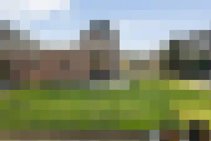 De Weidedijk 36 Langedijke thumbnail 36