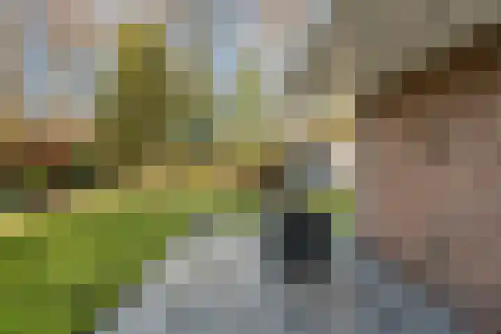 De Weidedijk 36 Langedijke thumbnail 37