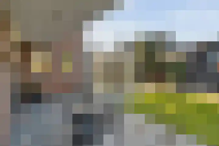 De Weidedijk 36 Langedijke thumbnail 38
