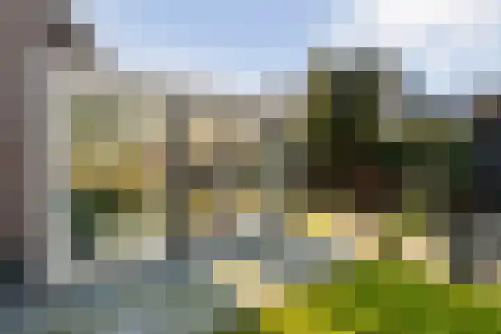 De Weidedijk 36 Langedijke thumbnail 39