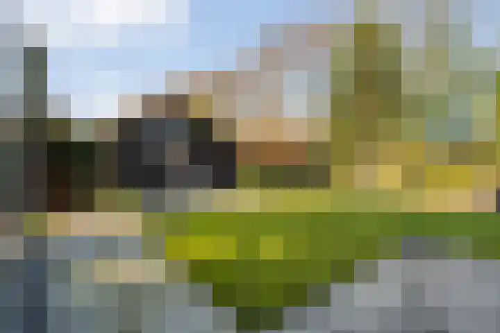 De Weidedijk 36 Langedijke thumbnail 40