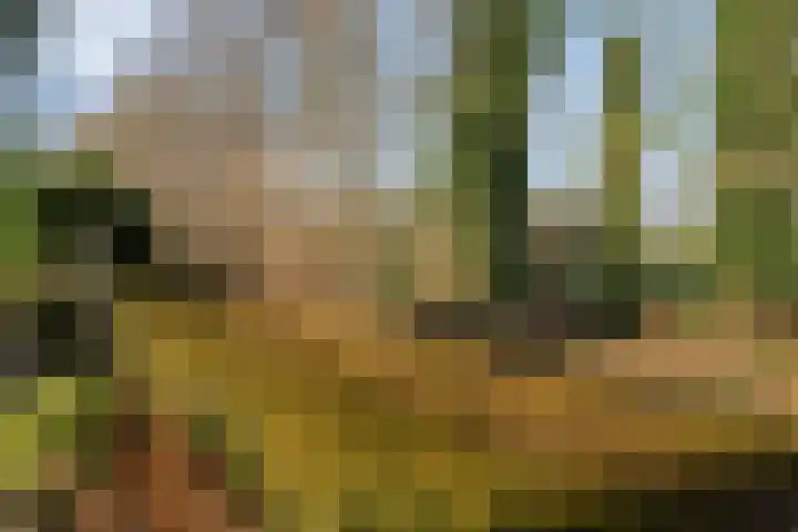De Weidedijk 36 Langedijke thumbnail 47