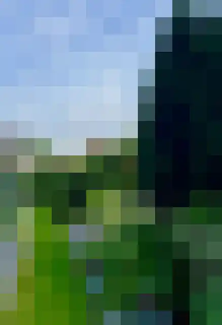 De Weidedijk 36 Langedijke thumbnail 50