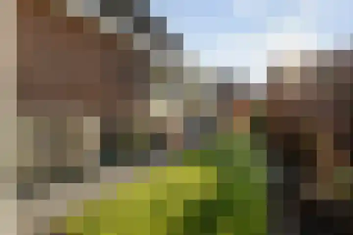 De Weidedijk 36 Langedijke thumbnail 51