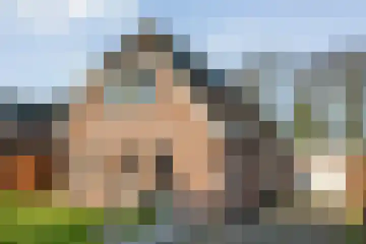 De Weidedijk 36 Langedijke thumbnail 53