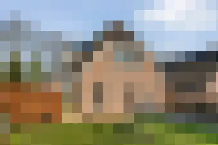 De Weidedijk 36 Langedijke thumbnail 55