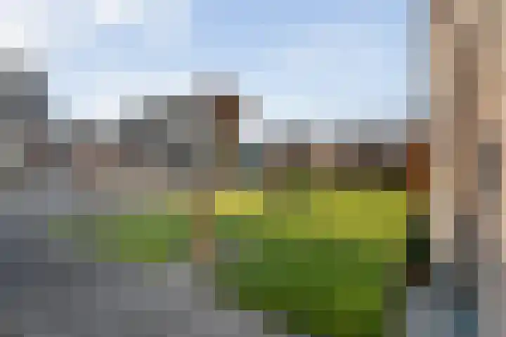 De Weidedijk 36 Langedijke thumbnail 56