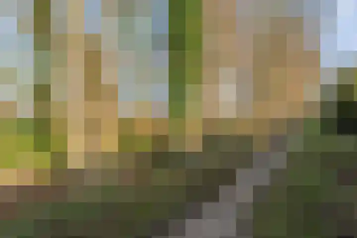De Weidedijk 36 Langedijke thumbnail 62