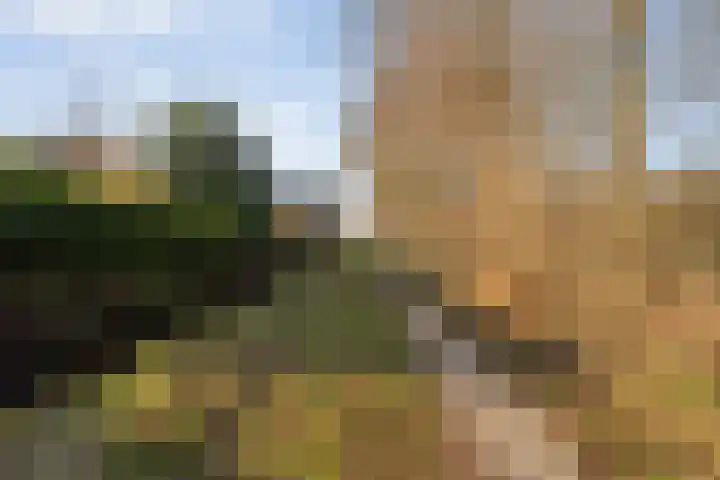 De Weidedijk 36 Langedijke thumbnail 63
