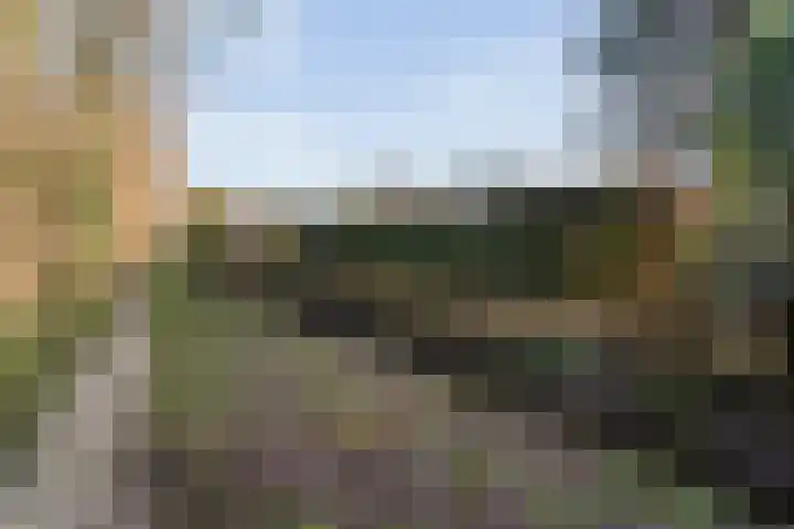 De Weidedijk 36 Langedijke thumbnail 64