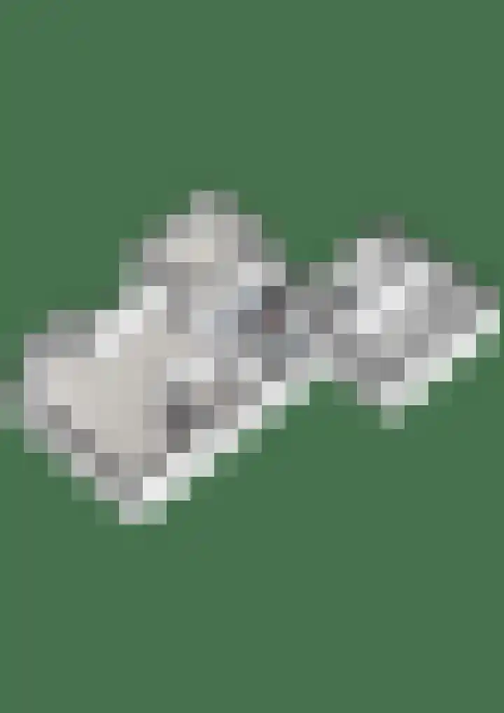 De Weidedijk 36 Langedijke thumbnail 66