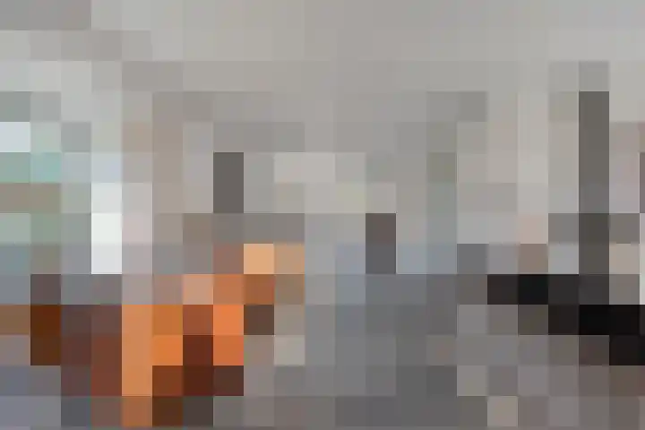 De Weidedijk 36 Langedijke thumbnail 8