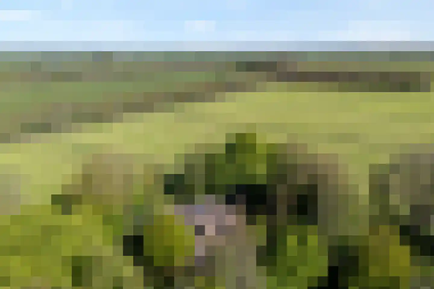 De Weidenweg 57 Ruinen thumbnail 4