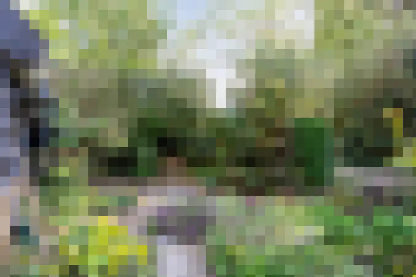 De Weidenweg 57 Ruinen thumbnail 40