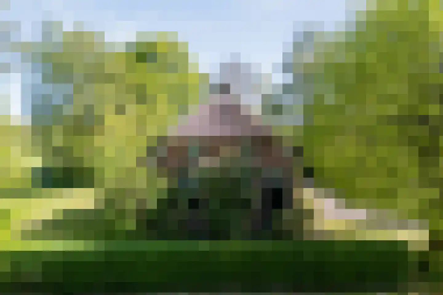 De Weidenweg 57 Ruinen thumbnail 48