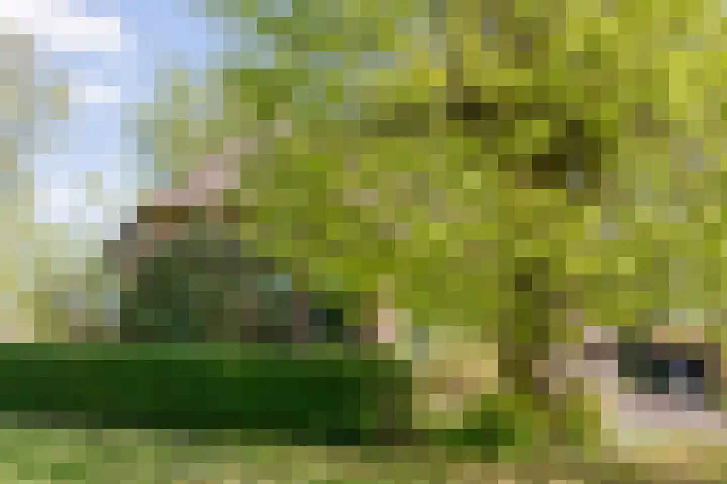 De Weidenweg 57 Ruinen thumbnail 49