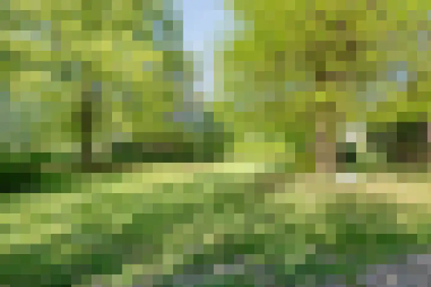 De Weidenweg 57 Ruinen thumbnail 50