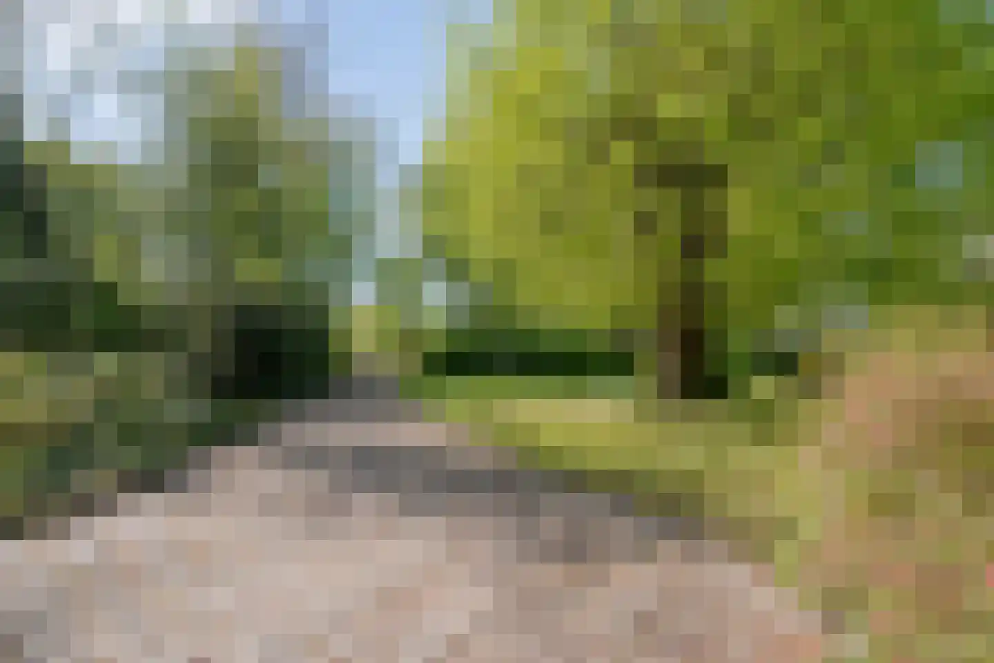 De Weidenweg 57 Ruinen thumbnail 51