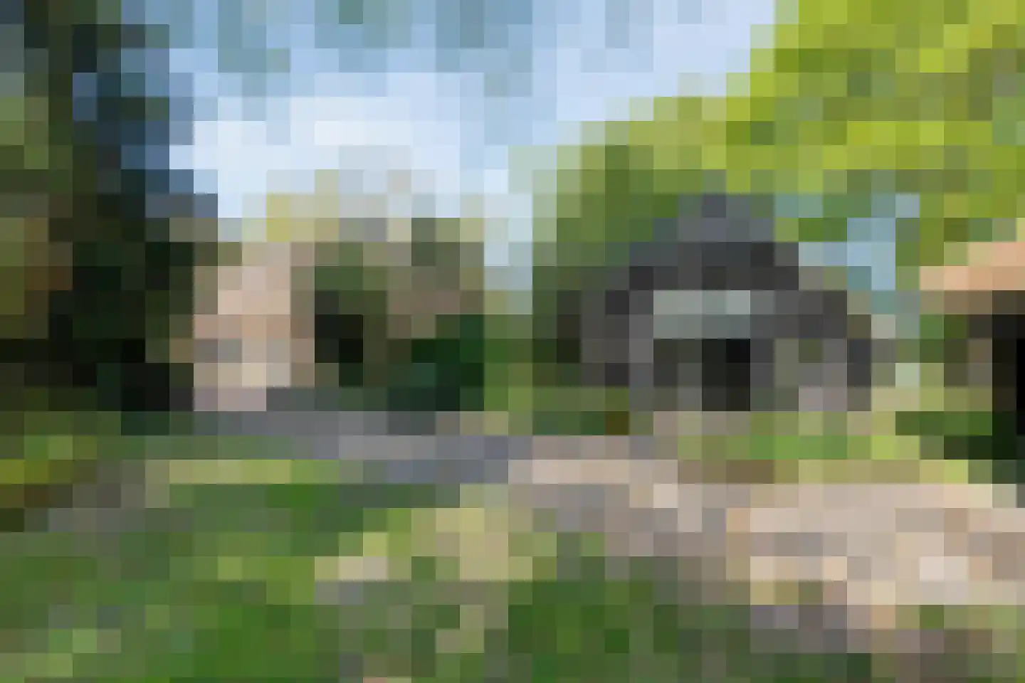 De Weidenweg 57 Ruinen thumbnail 51