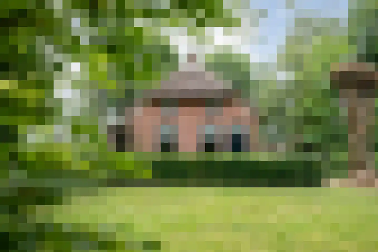 De Weidenweg 57 Ruinen thumbnail 52